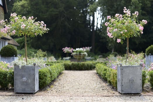 Arthur Jack traditional planters